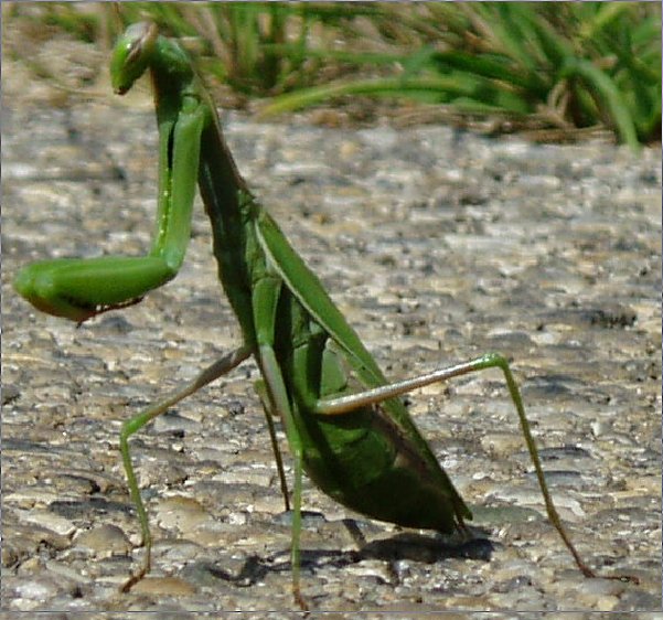 Begegnung im Luberon